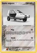 Ibishu wigeon