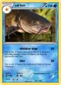 cat fish
