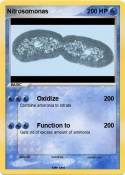 Nitrosomonas