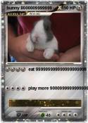 bunny 800000999
