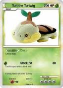 Turt the Turtwi