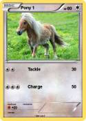 Pony 1