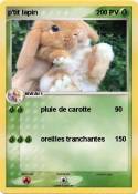 p'tit lapin