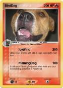 BirdDog
