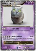 poison cat
