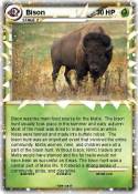 Bison