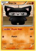 Ninja Cat