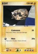 A CAT