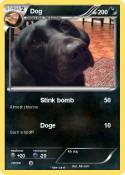 Dog