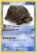 mr turtle
