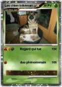 Les chien kékém