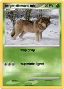 berger allemand