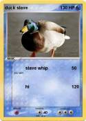 duck slave