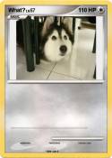 What?
