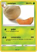 cantalupo