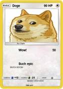 Doge