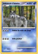 malamute d'alas