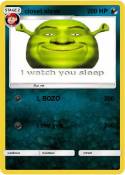 closet shrek