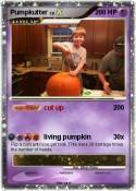 Pumpkutter