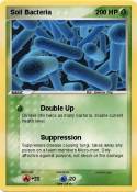 Soil Bacteria