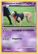 greyhound en