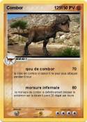 Combor 125 