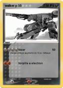 walker p 55