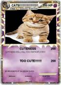 CATS!!!!!!!!!!!