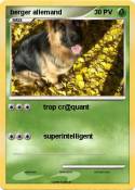 berger allemand