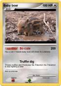 Baby boar