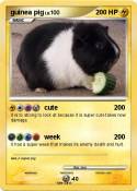 guinea pig