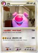 pig