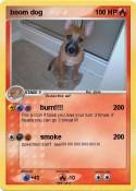 boom dog