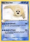 Baby Harp Seal