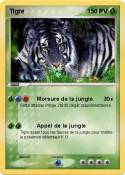 Tigre