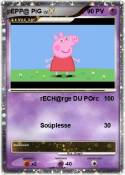pEPP@ PiG