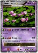 plantes rare