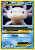 Axolotl