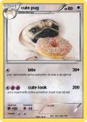 cute pug