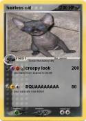 hairless cat