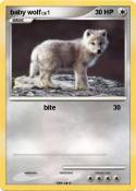 baby wolf
