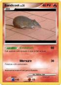 Bandicoot