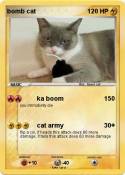 bomb cat