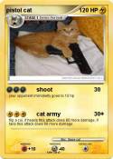 pistol cat