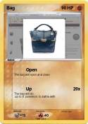 Bag