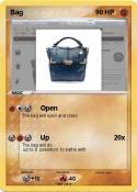 Bag