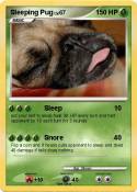Sleeping Pug