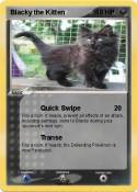 Blacky the Kitt