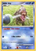 water dog