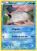 Truichon
